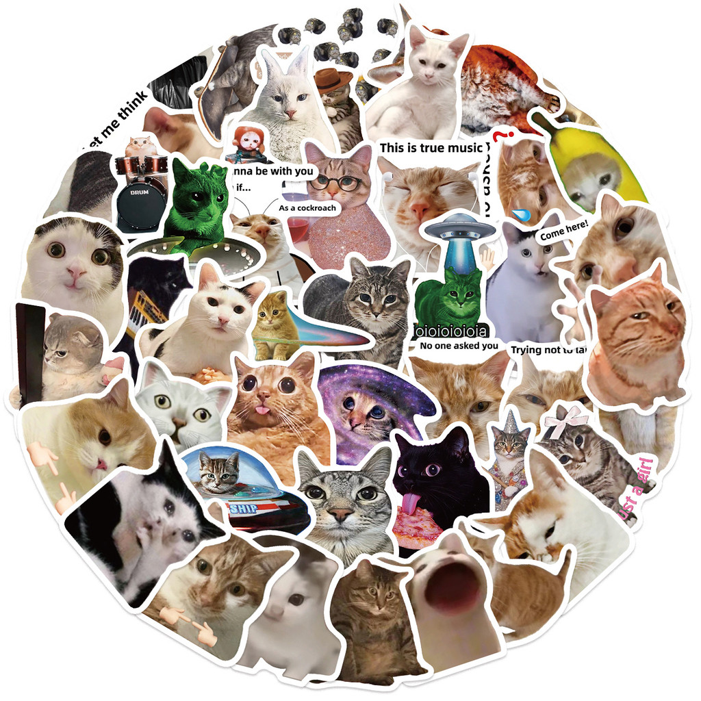 50PCS Viral Cat Meme Stickers  - مراجعة Tech Gear Accessories وسعره