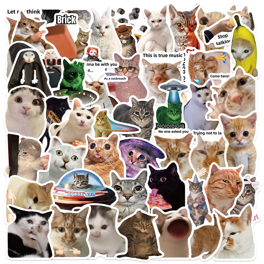 50PCS Viral Cat Meme Stickers  - مراجعة Tech Gear Accessories وسعره