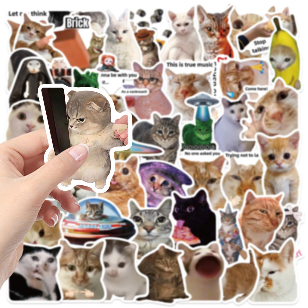 50PCS Viral Cat Meme Stickers  - مراجعة Tech Gear Accessories وسعره