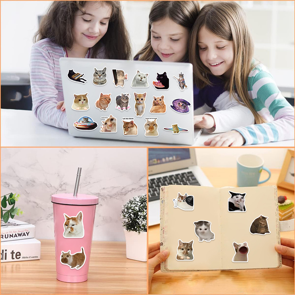 50PCS Viral Cat Meme Stickers  - مراجعة Tech Gear Accessories وسعره